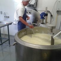 Eibert making cheese or yogurt.jpg